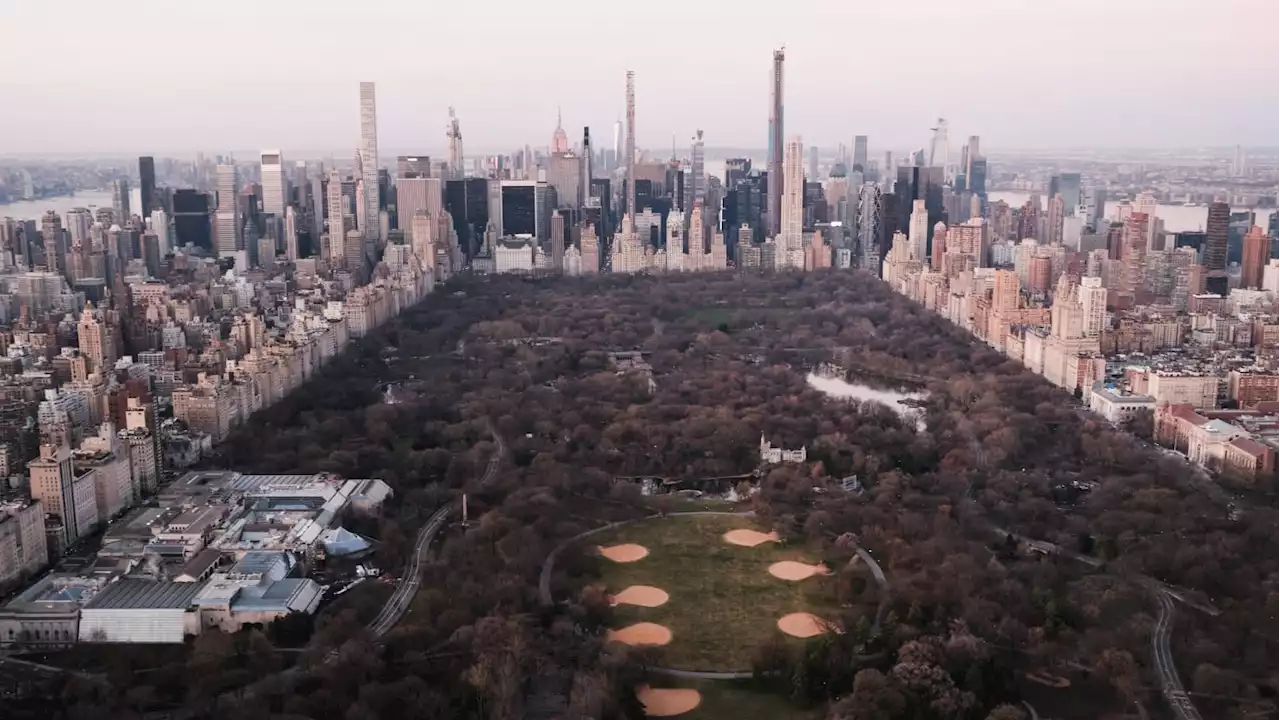 New York City Honors ‘Central Park Five’ by Renaming Park Entrance