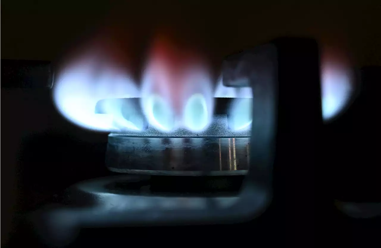 Thousands of energy customers to get compensation - check if you're one of them