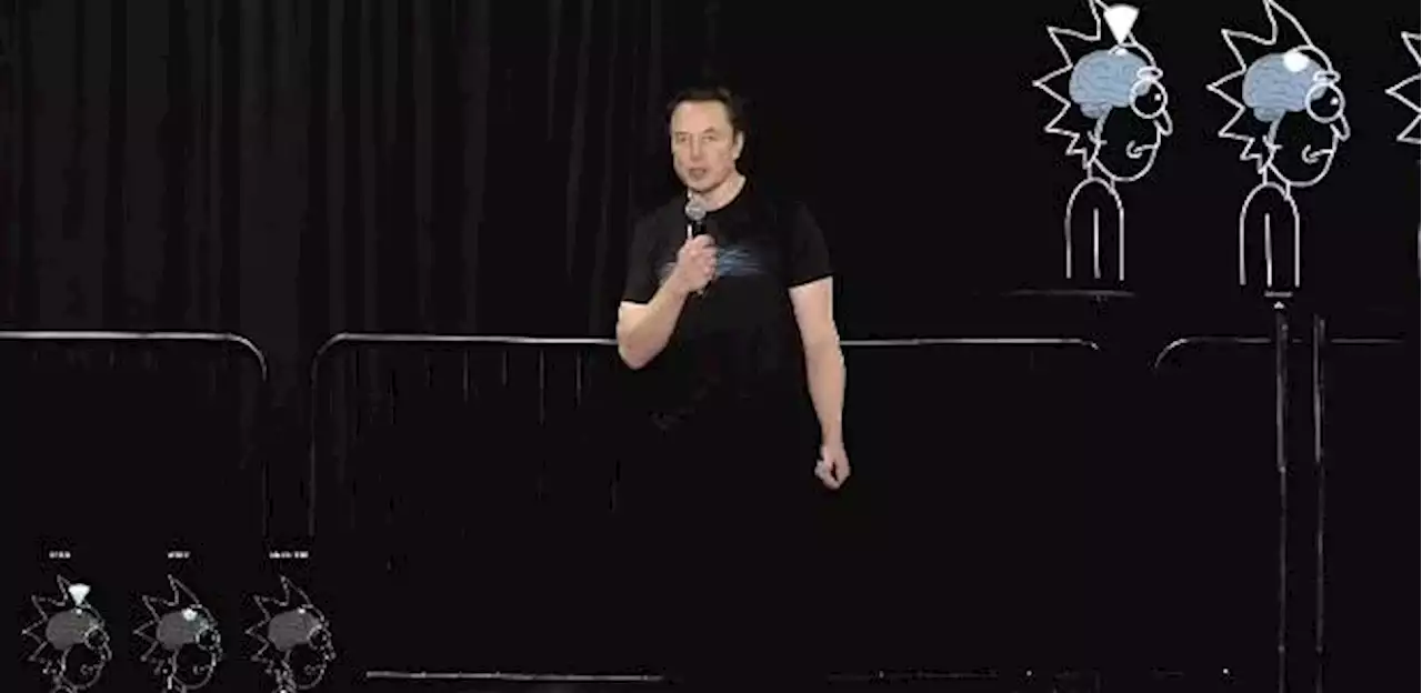 Elon Musk é vaiado por público em show de comediante nos EUA