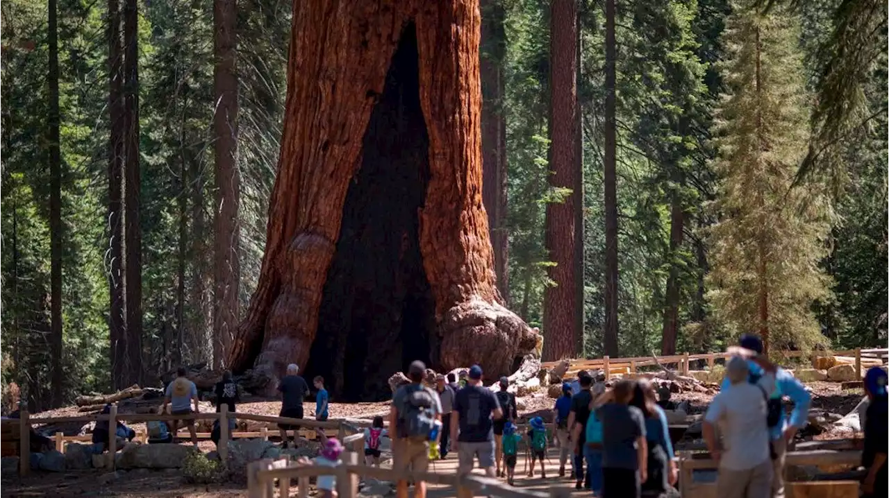 Are US national parks free? Entry to all national parks is free on these five days in 2023.