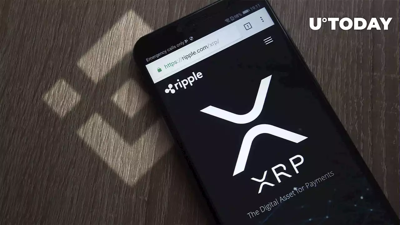 Astonishing 300 Million XRP Moved from Binance, Here's Why and Where To