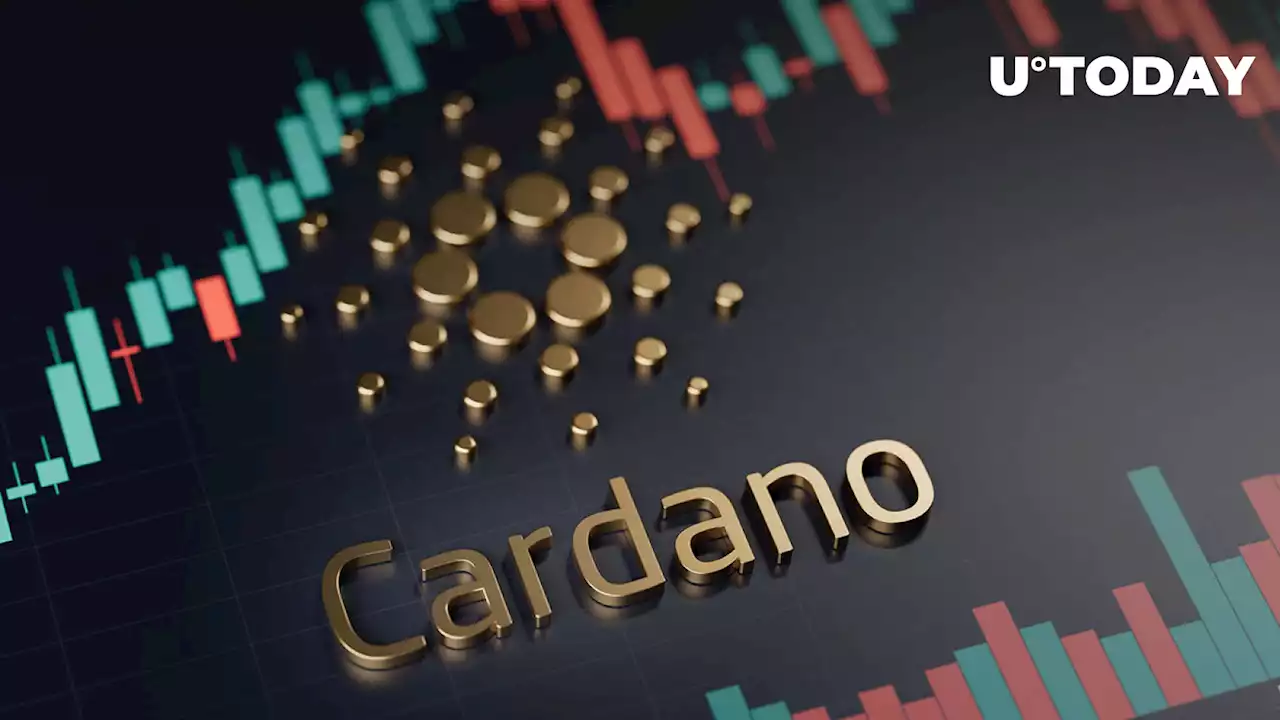 Cardano Network Experiencing Strong Growth in New Wallets, Here's Why It May Be Happening