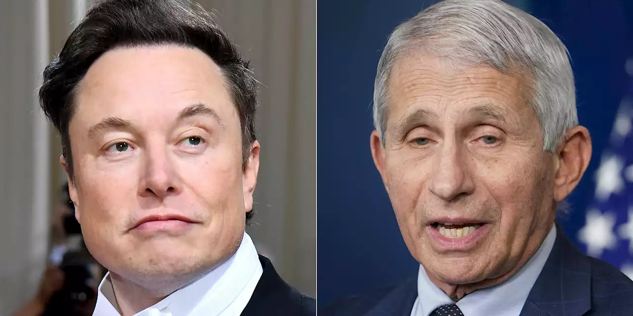 Opinion | Musk’s ugly attack on Fauci shows how right-wing info warfare works