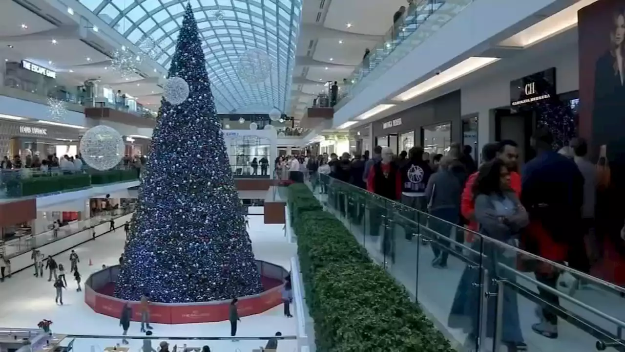 Houston-area malls and shops boost security amid increased theft during holiday rush: HPD data