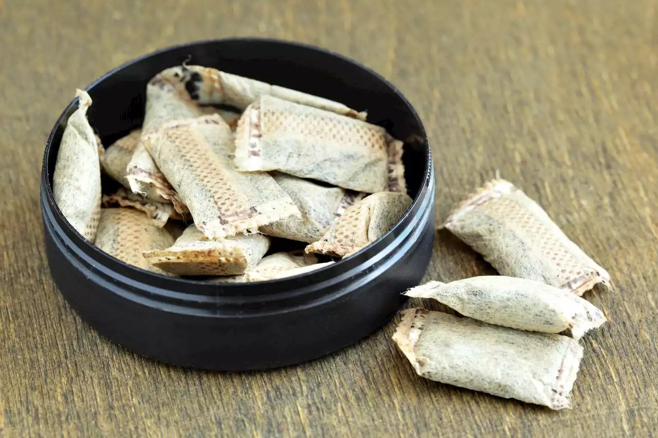 Qu'est-ce que le snus, ce tabac à sucer consommé par les jeunes et les sportifs ?