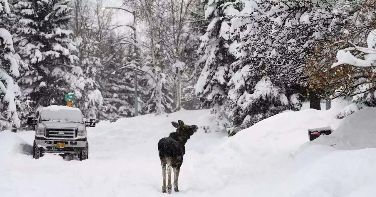 As Anchorage digs out from 2nd major storm, another is coming - maybe bringing rain