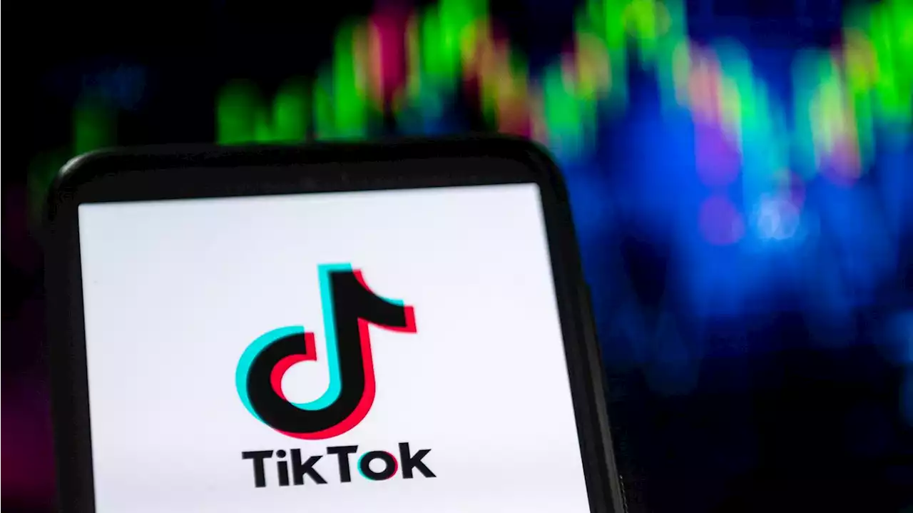 A new bipartisan bill looks to ban TikTok in the U.S. over China concerns