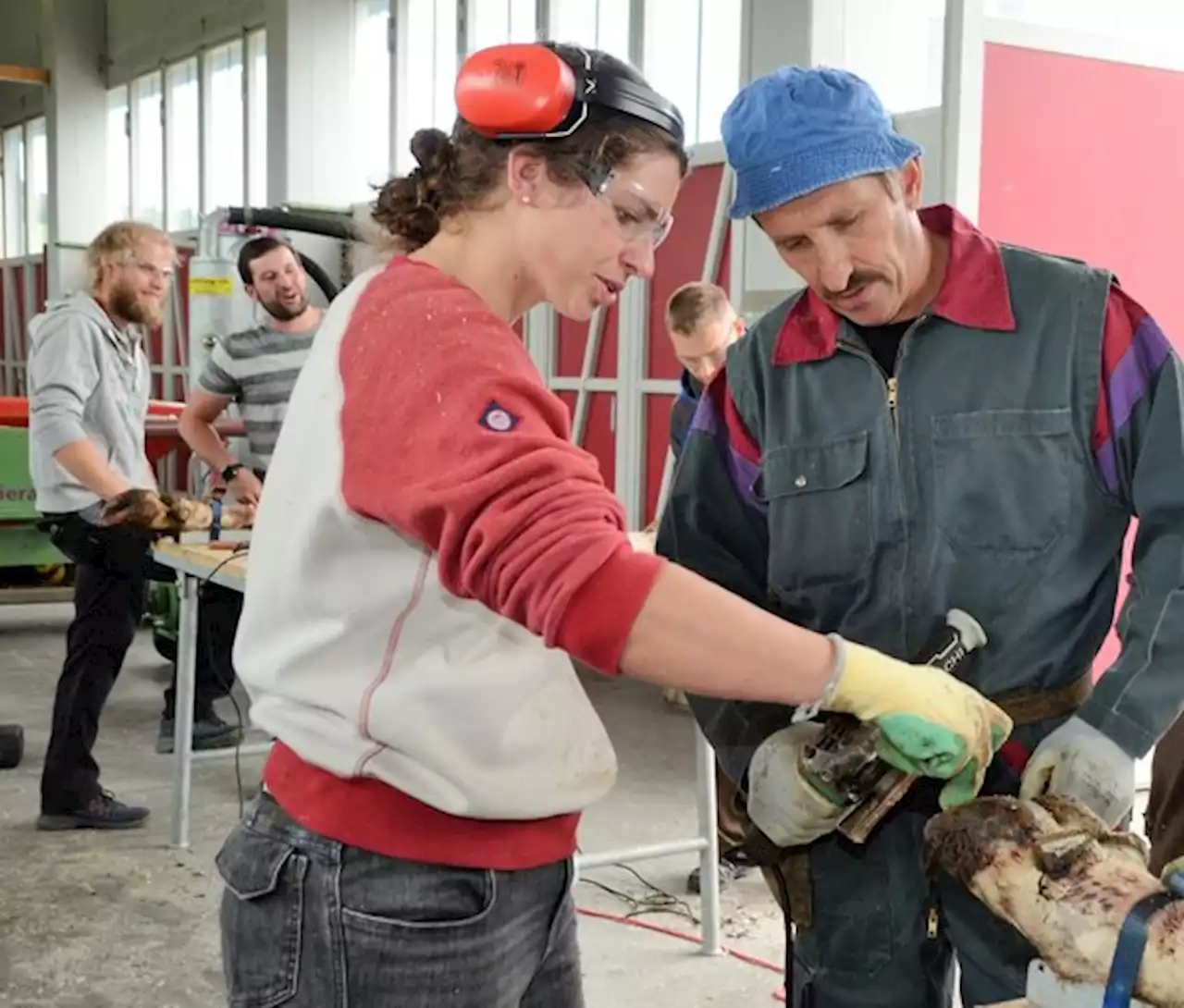 Die «Betriebsleiterschule Zentralschweiz» läuft seit Herbst - bauernzeitung.ch