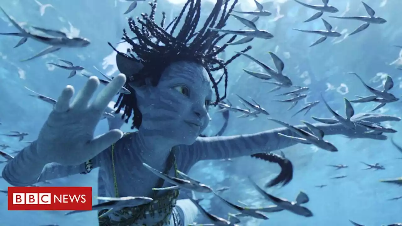 Como novo 'Avatar: O Caminho da Água' está dividindo os críticos de cinema - BBC News Brasil