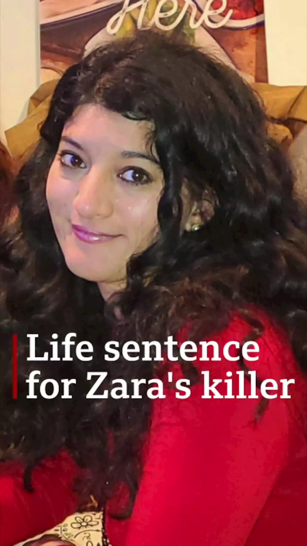 Zara Aleena: The prolific offender who murdered a law graduate