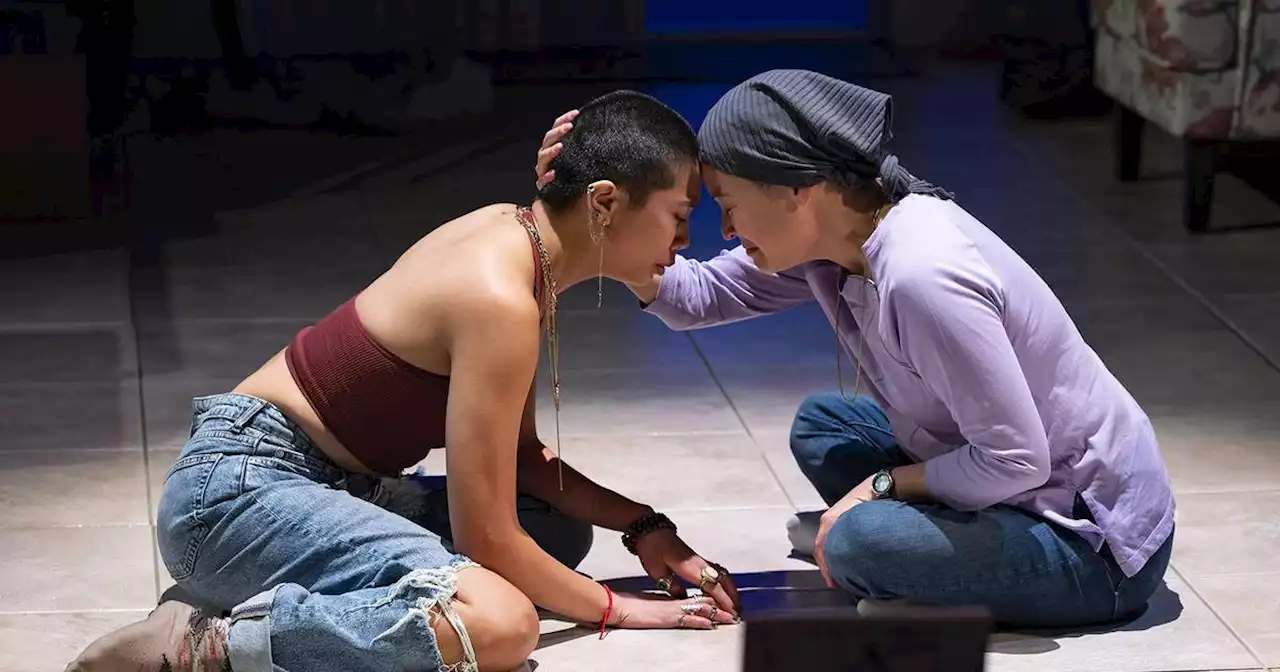 Review: ‘Bald Sisters’ at Steppenwolf Theatre is an immigrant story with potential