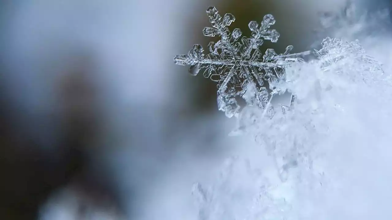 Chionophobie : quel est ce phénomène qui touche les personnes qui ont peur de la neige ?