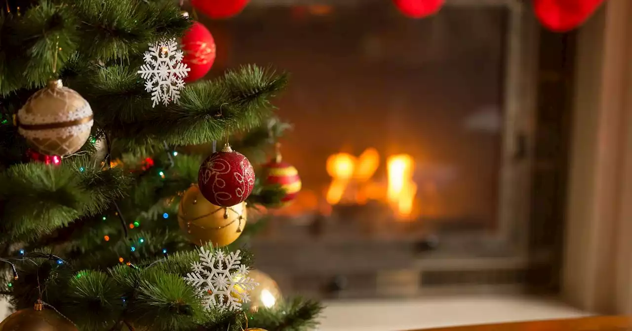 The simple Christmas tree hack to keep it alive and green for up to six weeks