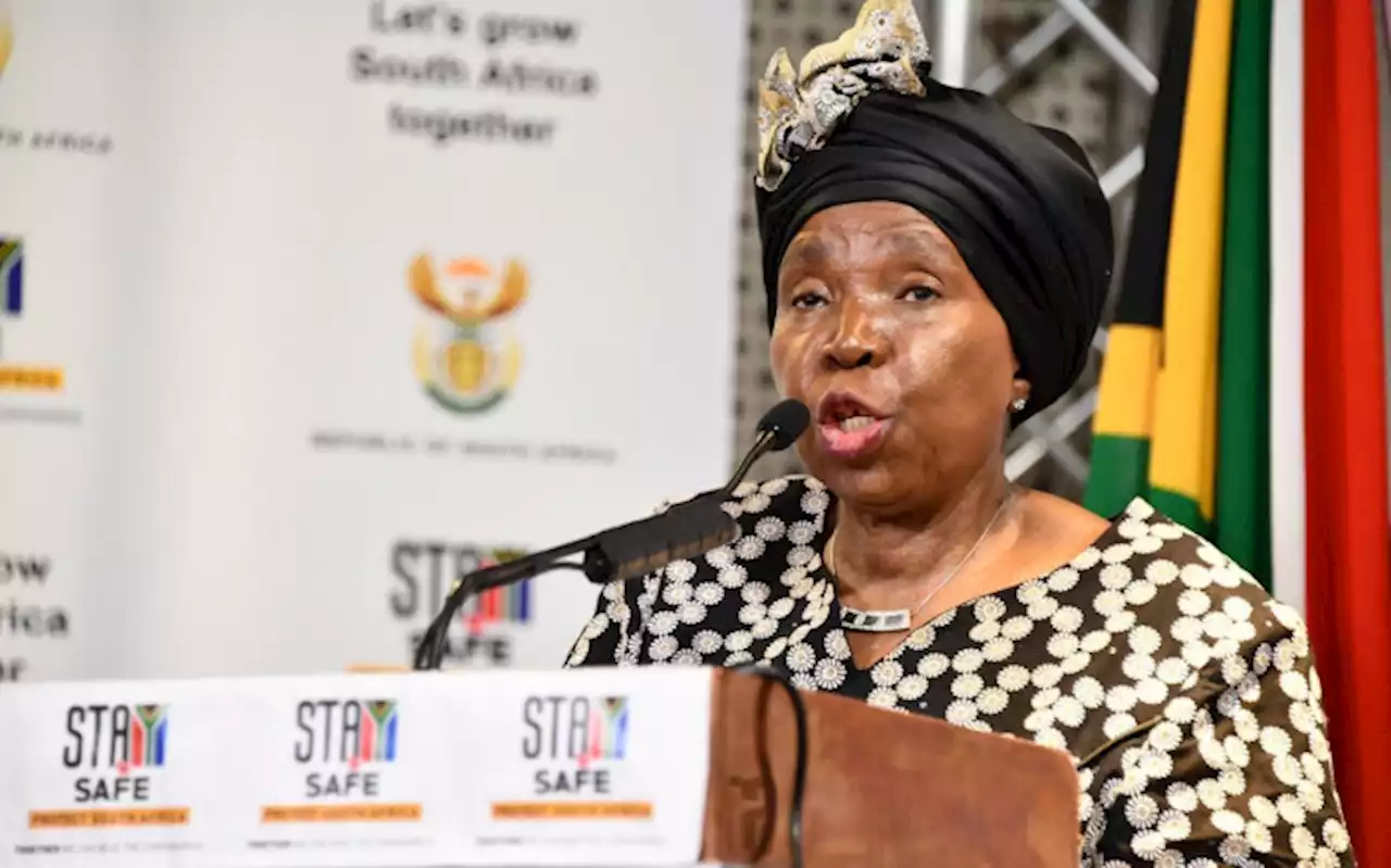 Dlamini Zuma defends move to vote in favour of Ramaphosa impeachment proceedings