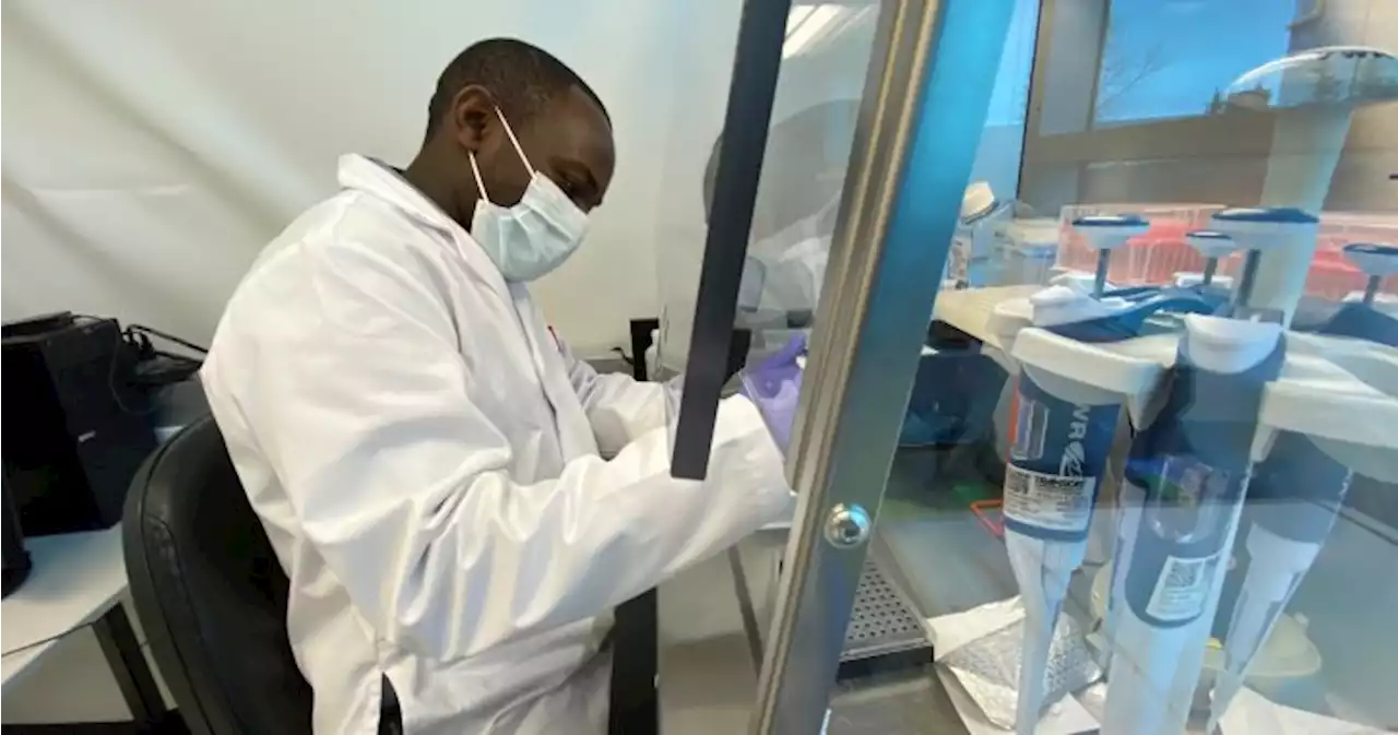 Alberta-made blood test could improve breast cancer screening, but when? | Globalnews.ca