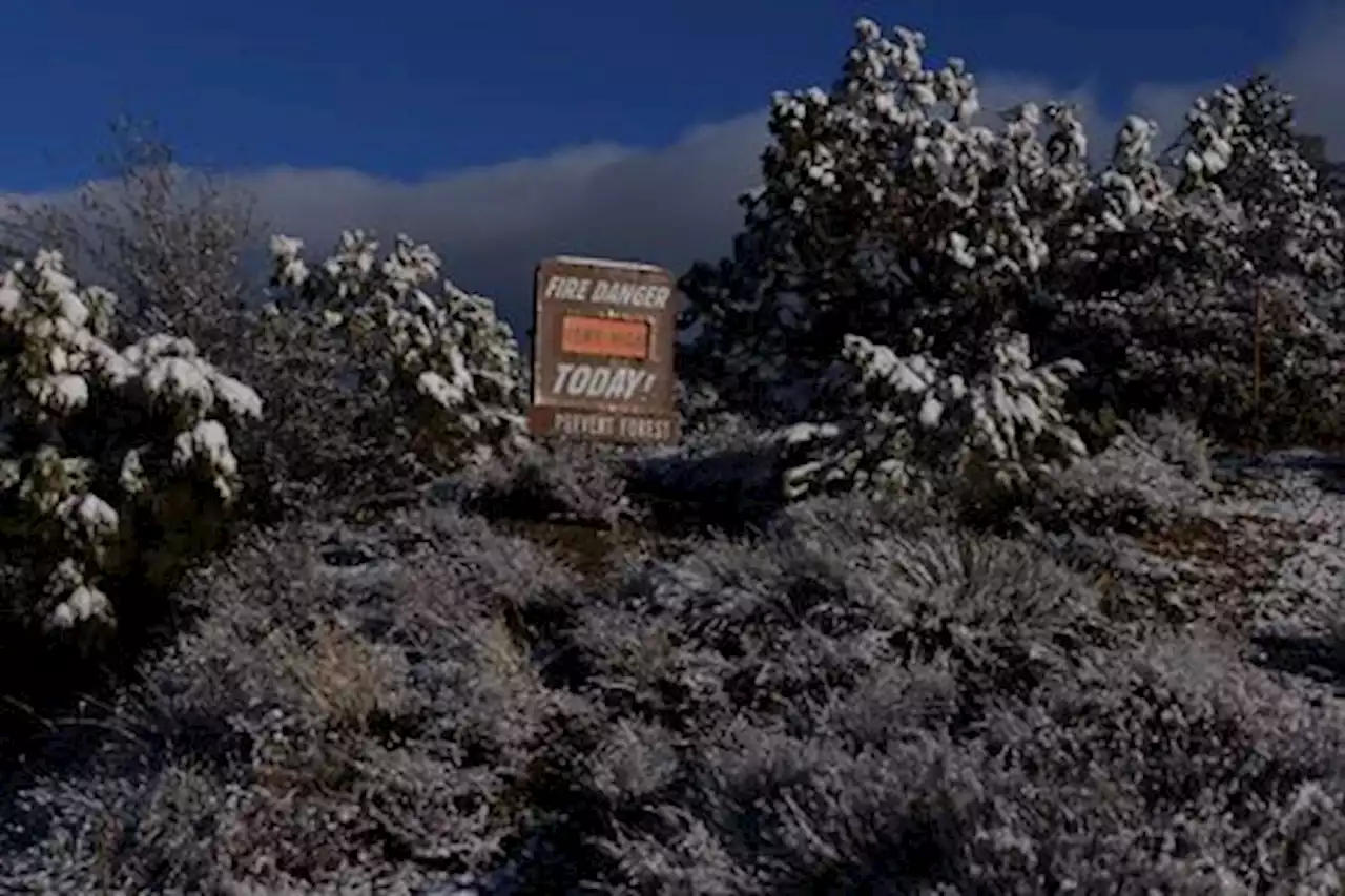 米で冬の嵐、北部で大雪・南部は竜巻で航空便に影響 - トピックス｜Infoseekニュース