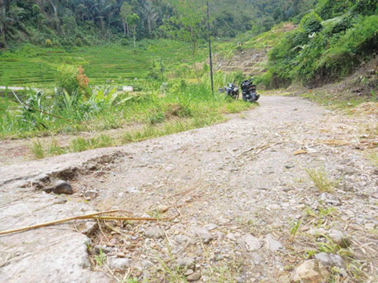 5 Jalan Nagari Menunggu Sentuhan, Nyaris Tak Tersentuh Pembangunan