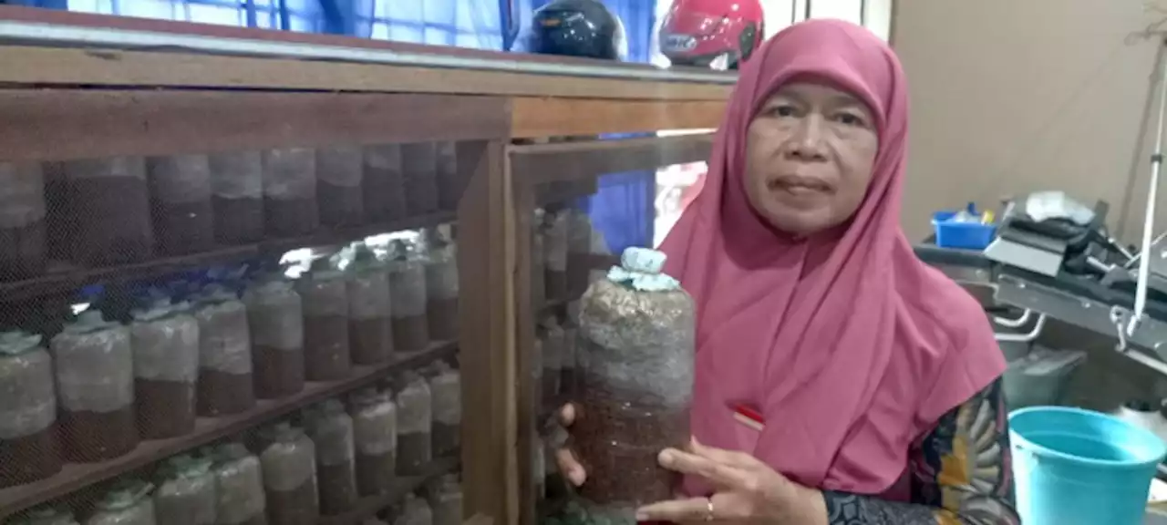 Sempat Berhenti Karena Pandemi, Kini Mulai Aktif Layani Pesanan
