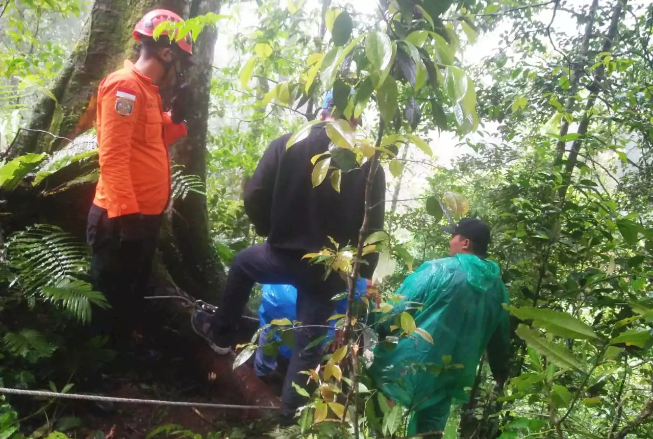 Truk CPO Terjun ke Jurang Terseret Longsor, Sopir Terjepit, Tim Basarnas Medan Bergerak