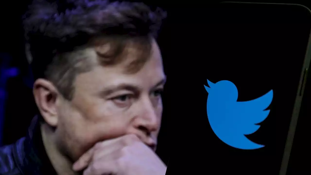 Twitter's Ex-head of safety reportedly flees Bay Area following attacks from Musk