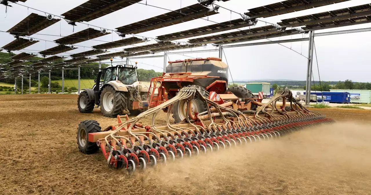 'C'est la ruée vers l'or' : l'agrivoltaïsme aiguise l'appétit des énergéticiens