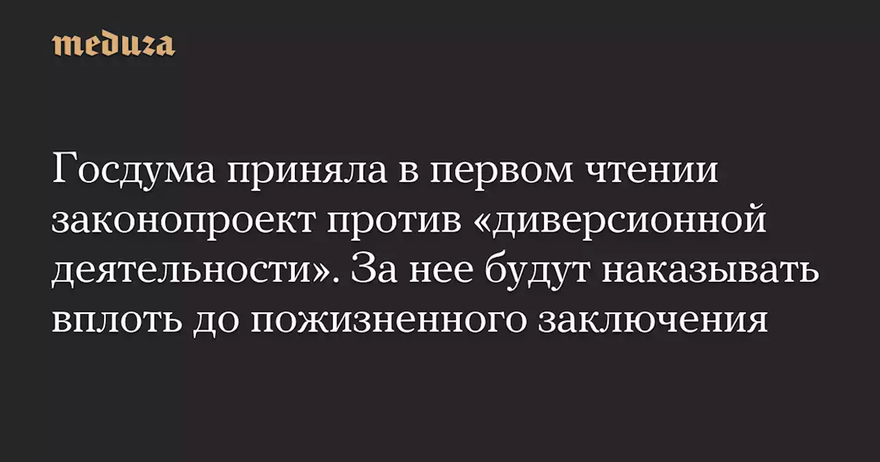 Госдума приняла в первом чтении законопроект против «диверсионной деятельности». За нее будут наказывать вплоть до пожизненного заключения — Meduza