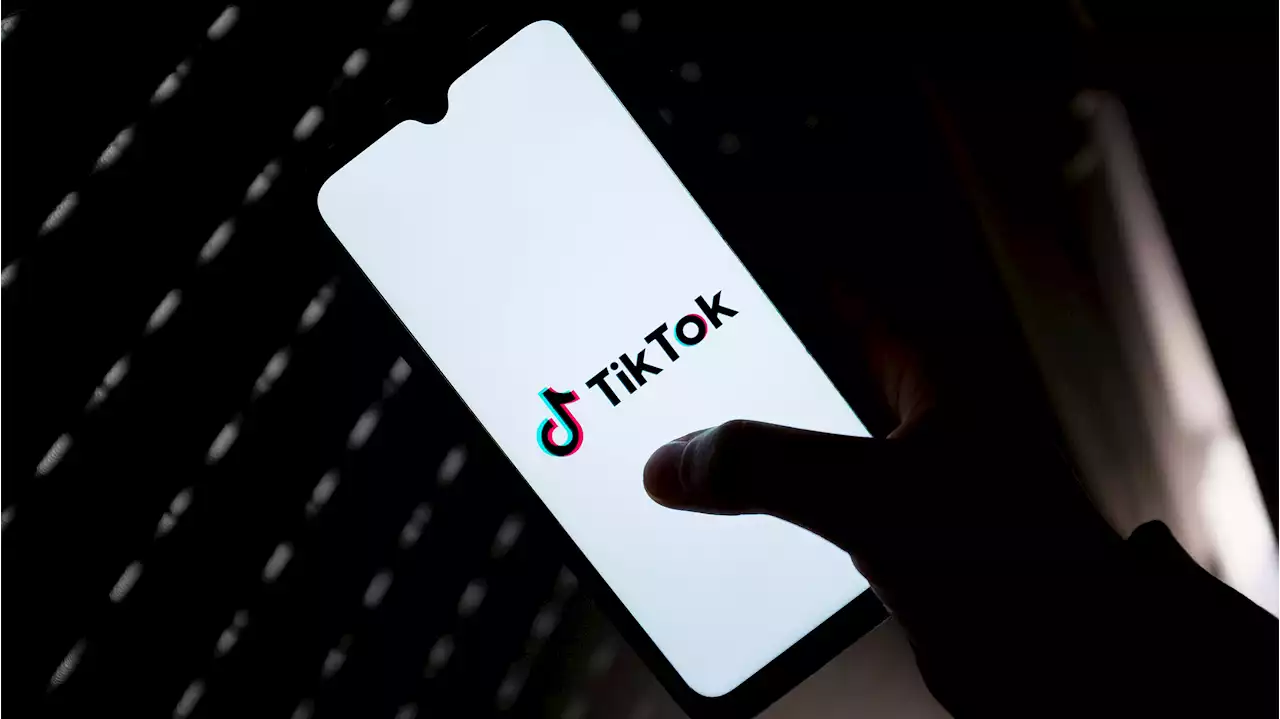 Drei Abgeordnete wollen TikTok in den USA verbieten