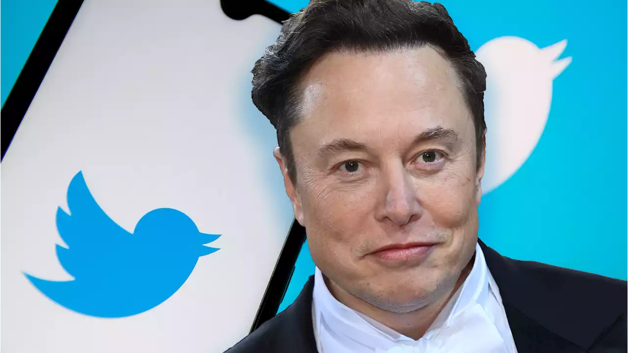 Twitter-Chef Elon Musk nicht mehr reichster Mensch