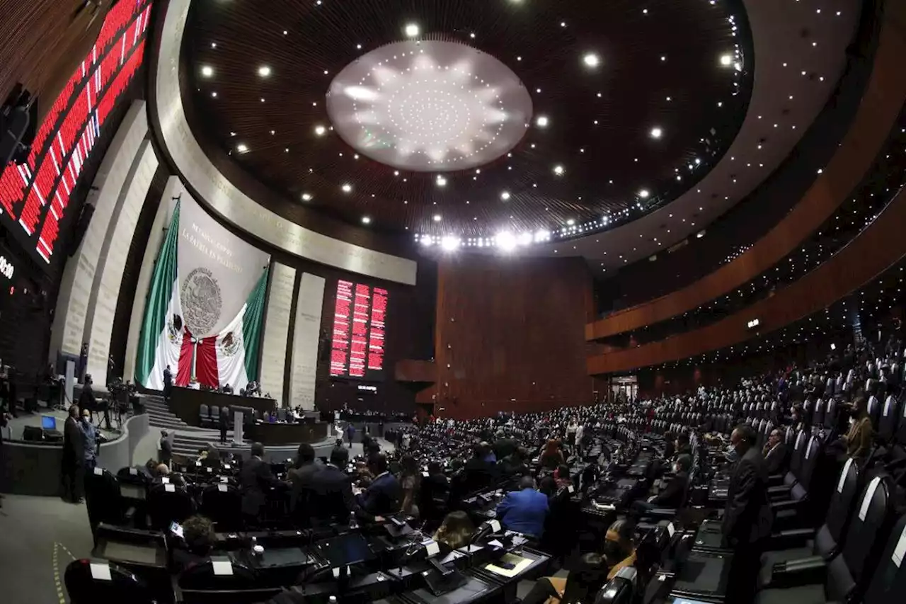 Diputados aprueban convocatoria para elección de 4 consejeros del INE