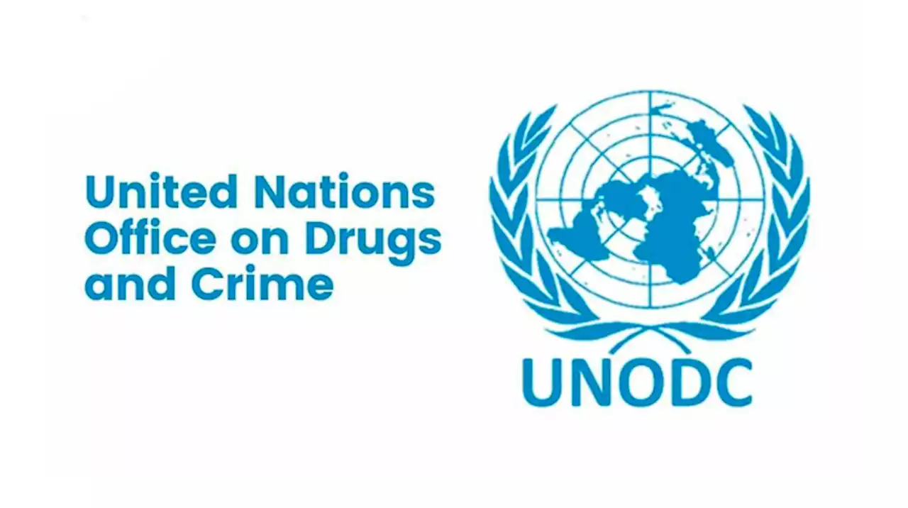 UN expresses concern over North-West insecurity