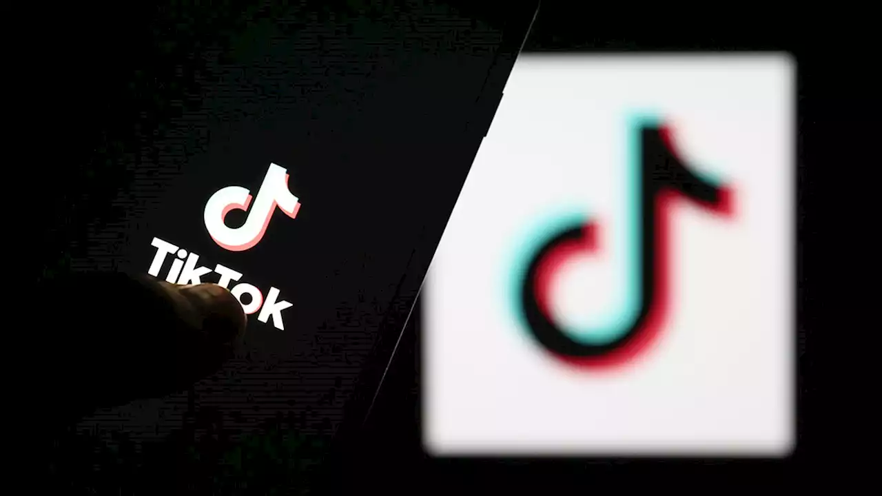 Illinois Democrat Co-Sponsors Bill That Would Ban TikTok in the U.S., Citing Security Concerns