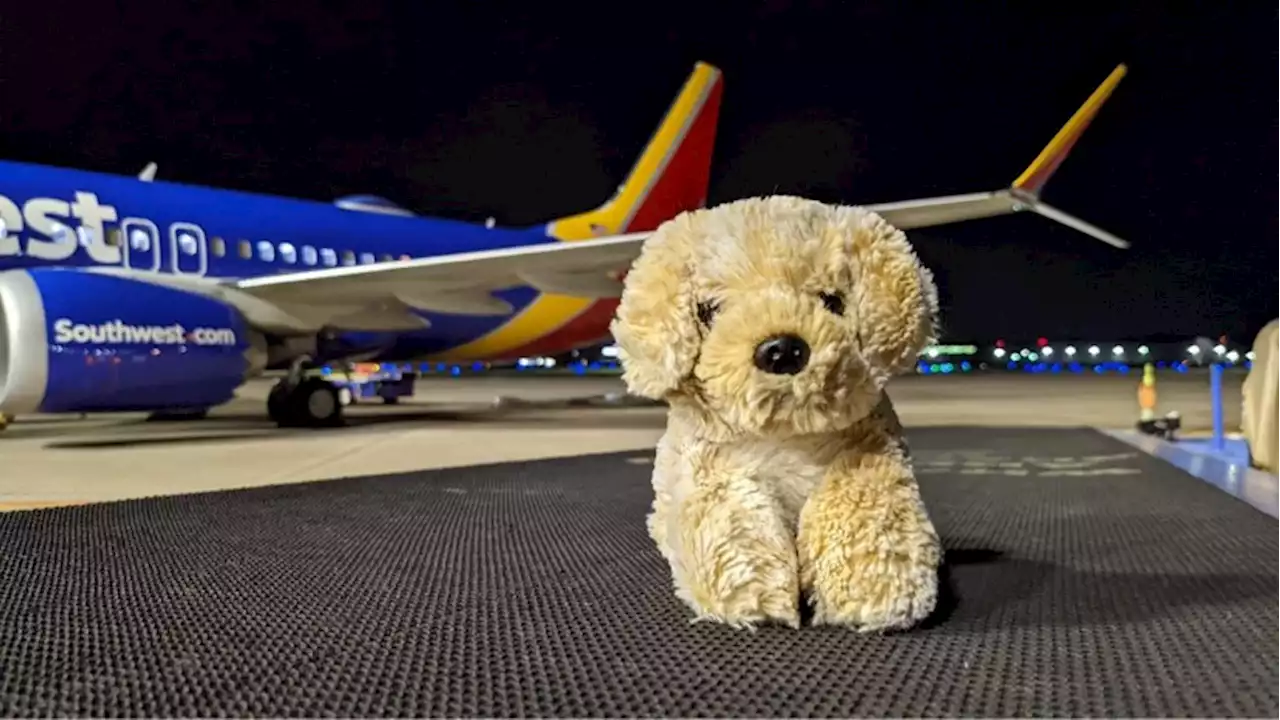 Southwest Airlines Helps Return Toy Animal to Young Passenger