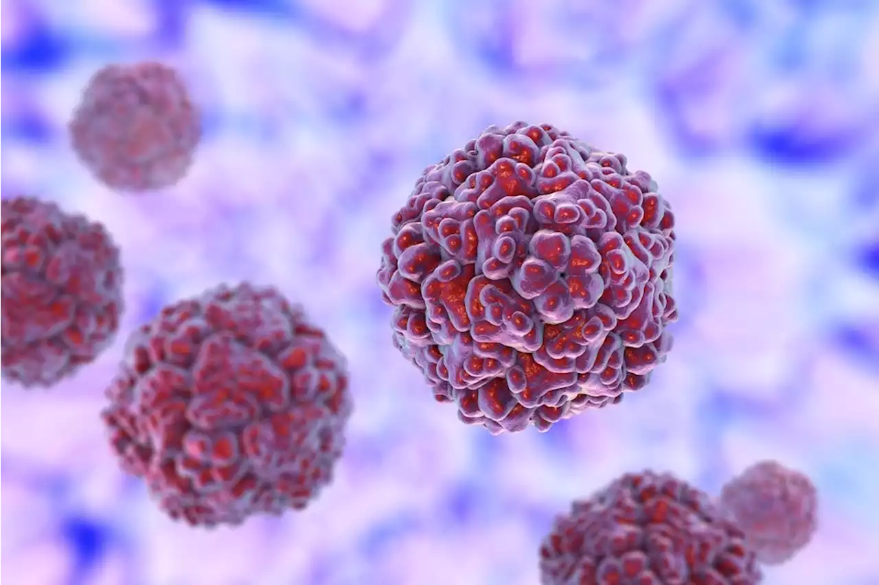 What are the risk factors associated with symptomatic SARS-CoV-2 and rhinovirus infection in King County, Washington, from June 2020 to July 2022?