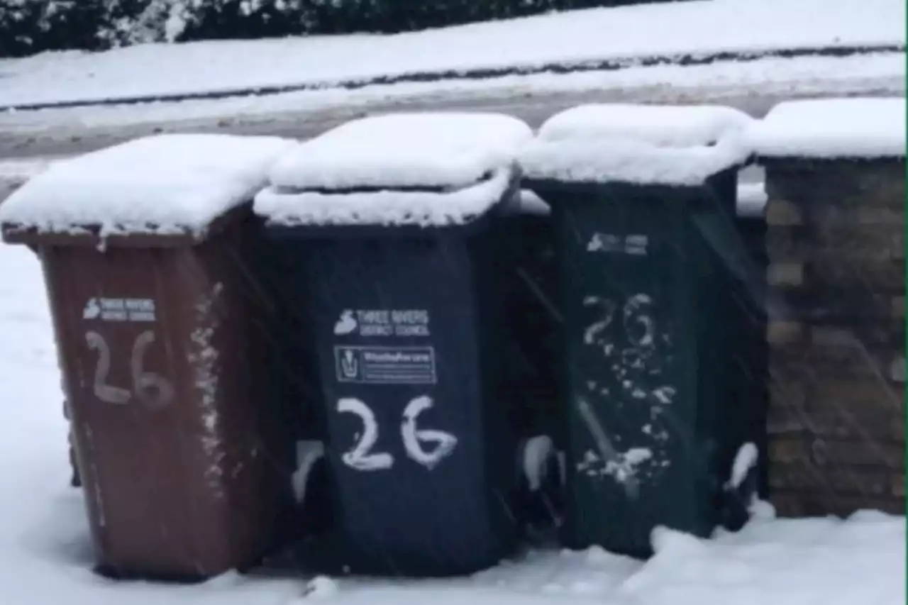 Bins left until next collection because ‘contents were frozen’