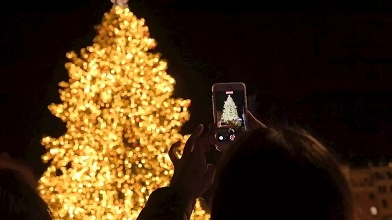 Gli Alberi di Natale più belli e particolari di Roma