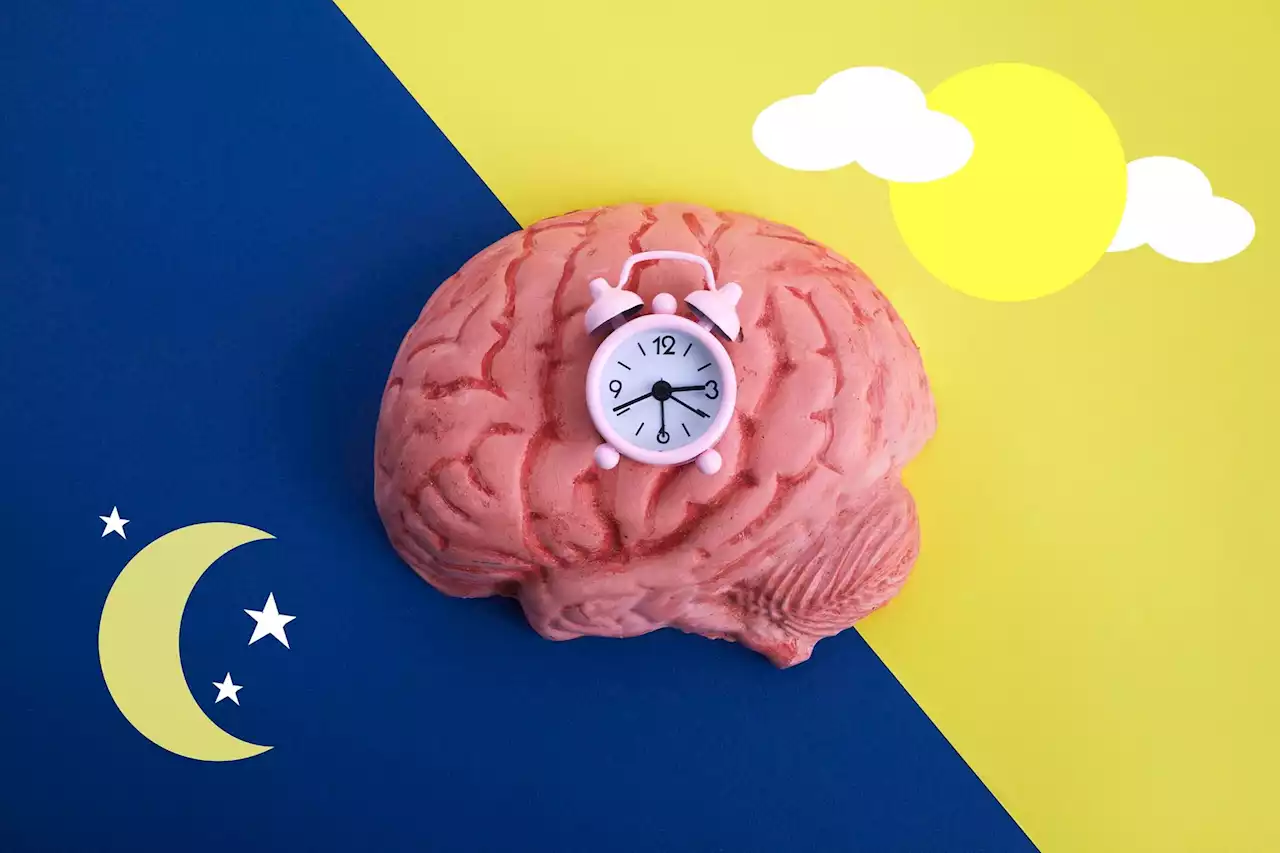 5 Ways To Regulate Your Circadian Rhythm