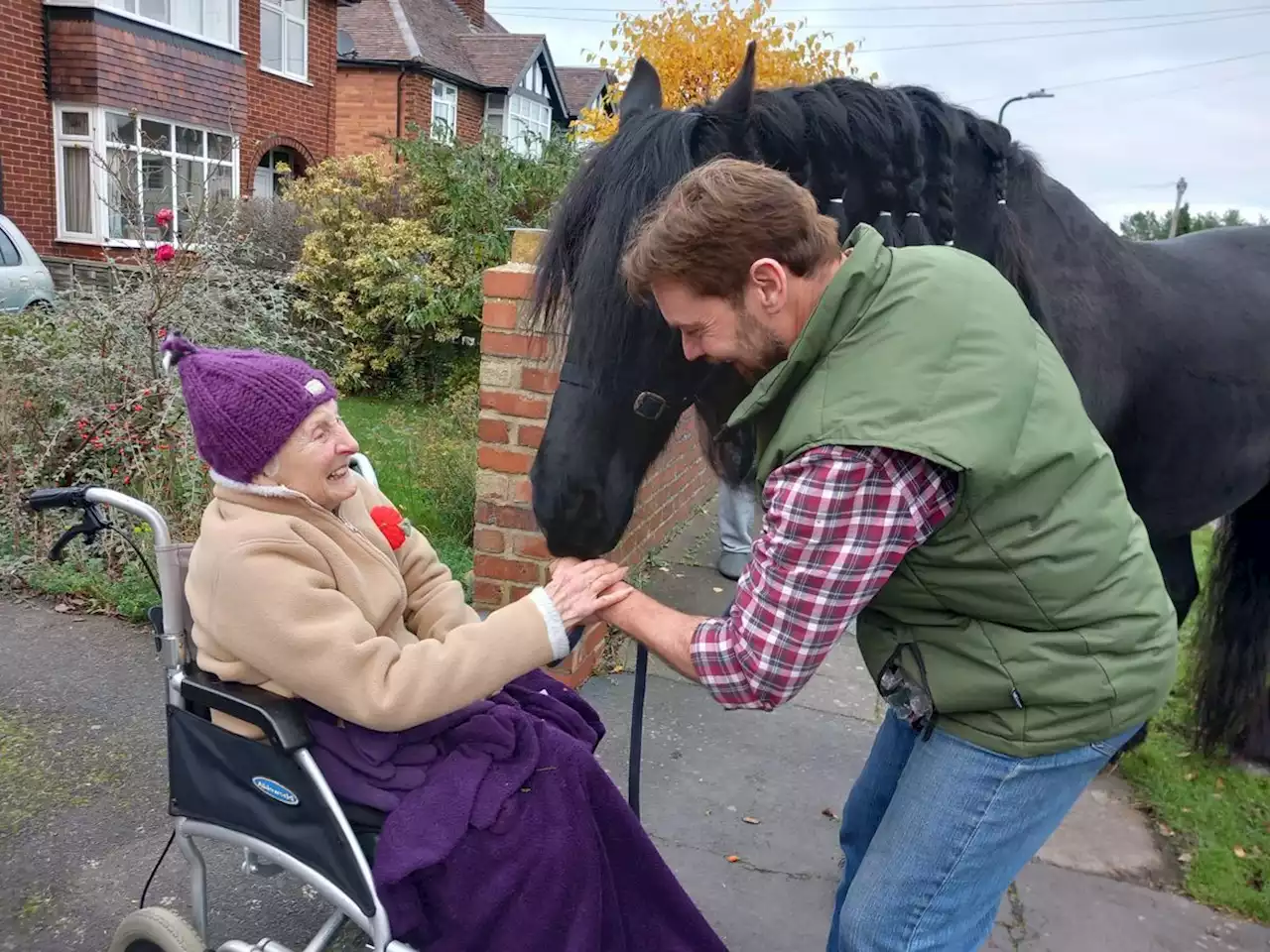 Visit from TV horse is 'wish come true' for Shropshire woman living with dementia