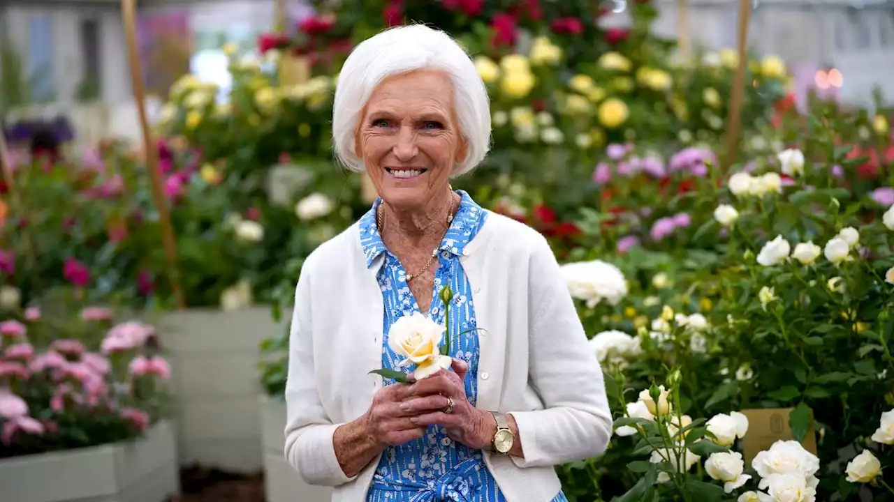 Former Bake Off judge Mary Berry shares sleeping bag hack for perfect Christmas turkey