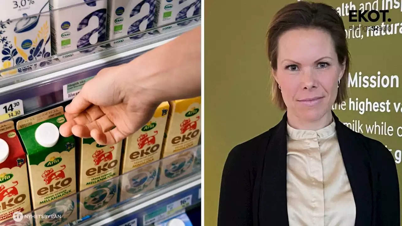 Så 'gröntvättar' Arla mjölkens utsläpp - Nyheter (Ekot)