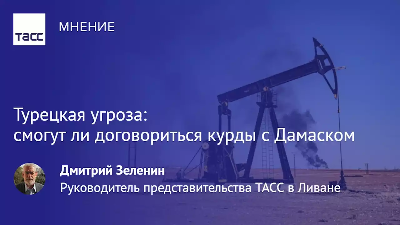 Турецкая угроза: смогут ли договориться курды с Дамаском - Мнения ТАСС