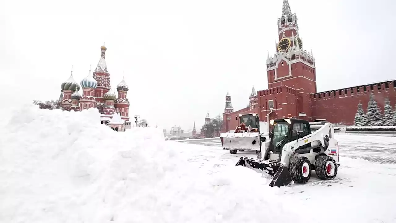 Сугробы в Московском регионе выросли до 26 см к 14 декабря