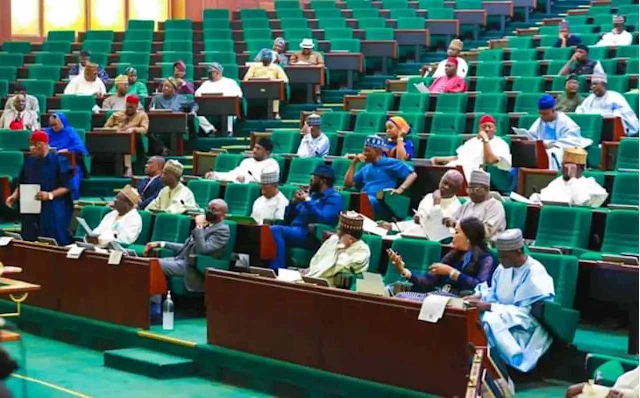 Reps hail DSS, say kidnapping, banditry have 'reduced considerably' | TheCable