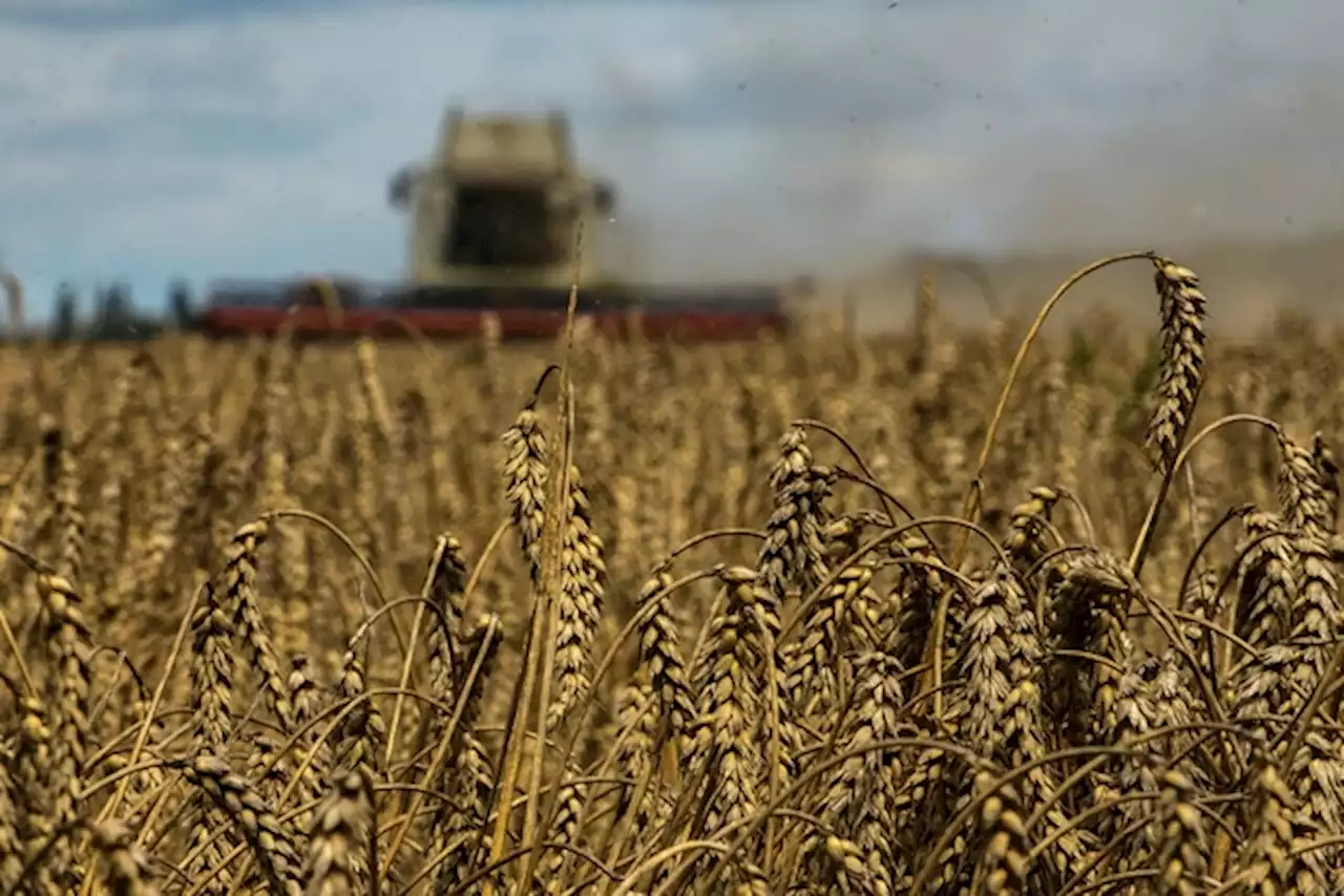 CHARLEBOIS: Ukraine, inflation, biggest food news stories of 2022