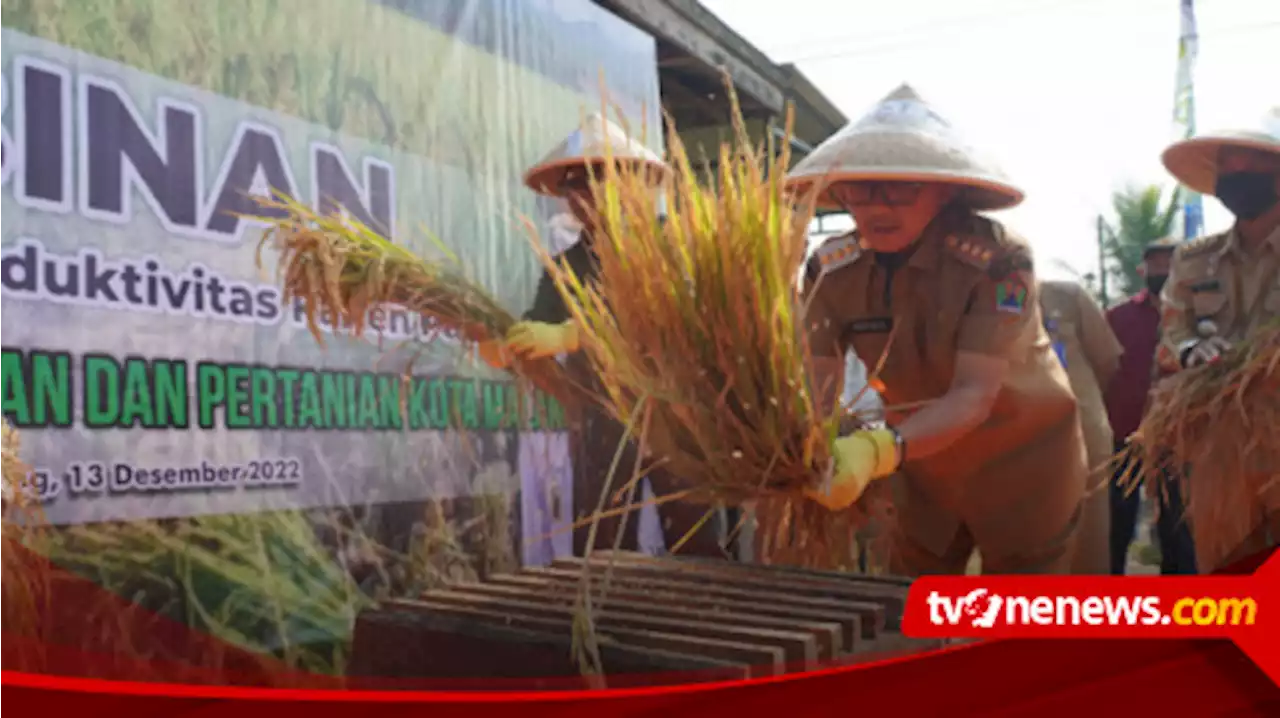 Tanggulangi Inflasi dan Berdayakan Petani, Dispangtan Serahkan Bantuan