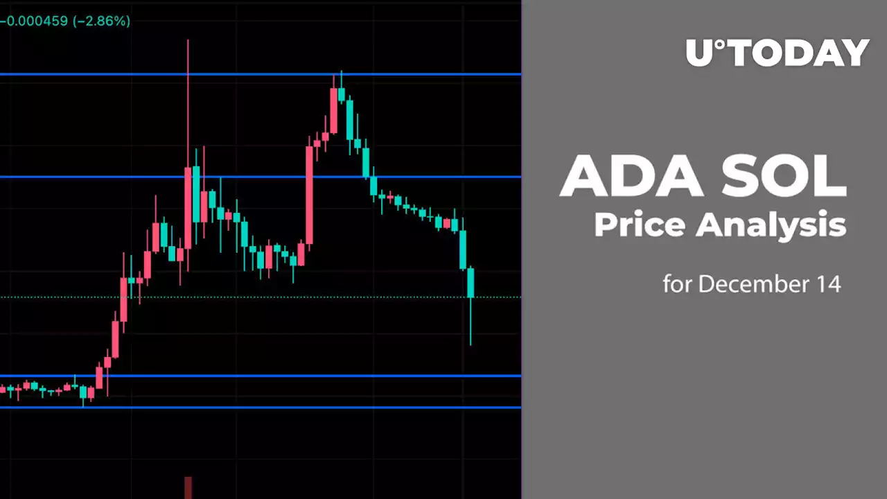 ADA and SOL Price Analysis for December 14