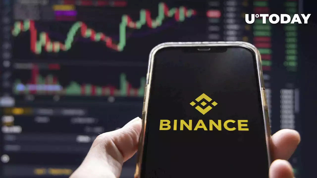 CryptoQuant CEO Analyzed Binance's Holdings, Here's His Conclusion