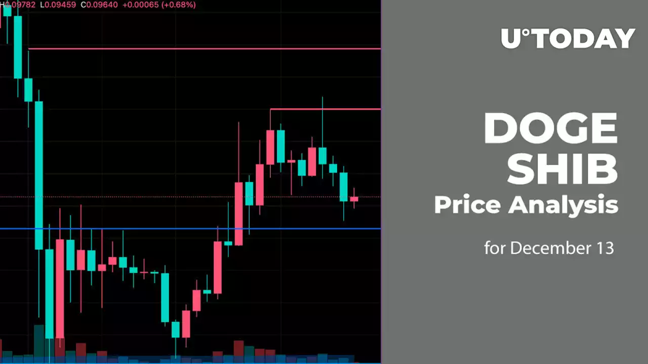 DOGE and SHIB Price Analysis for December 13