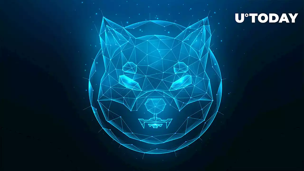 'Something Big Is Coming': Shiba Inu Community Reacts to Mysterious Message Posted by Developer