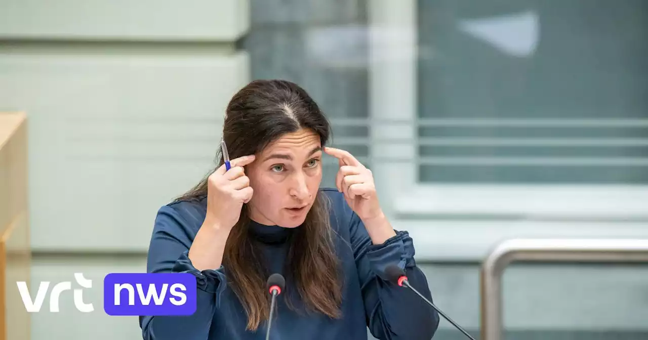 'Wij kunnen hier ook geen miljoenen varkens houden': Vlaams minister Zuhal Demir (N-VA) oogst felle kritiek met uitspraak over opvang vluchtelingen