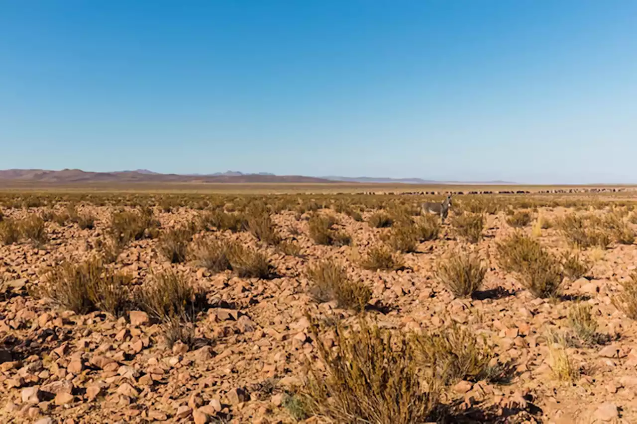 El aire en México se calienta más rápido que el del resto del planeta: ha aumentado casi dos grados en cien años y ese es un gran problema